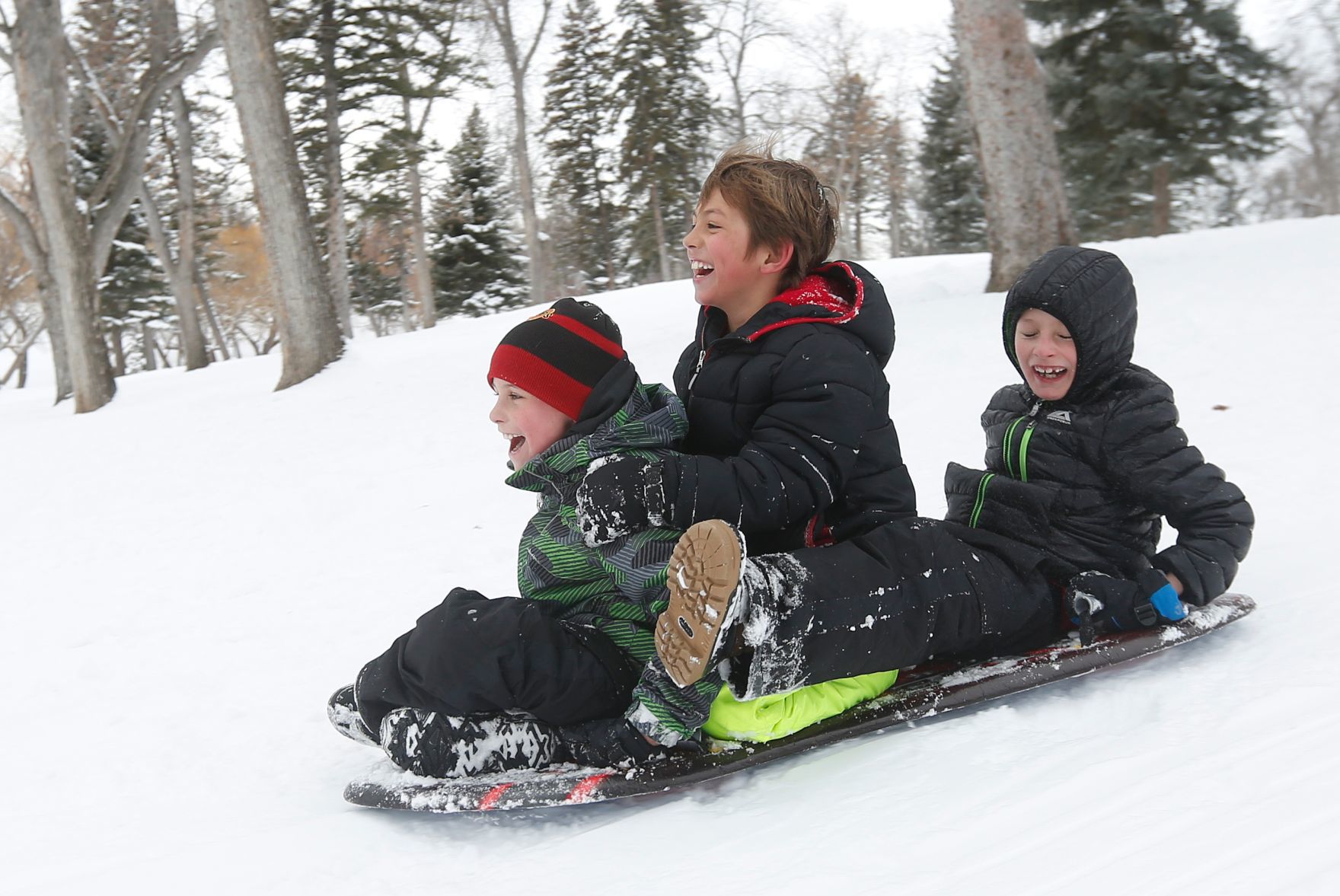 Sledding Fun